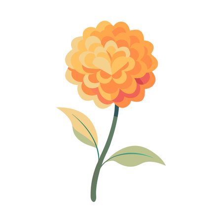 Vibrant Zinnia Flower Illustration with Warm Tones on a White Background for Various Creative Projectsのイラスト素材