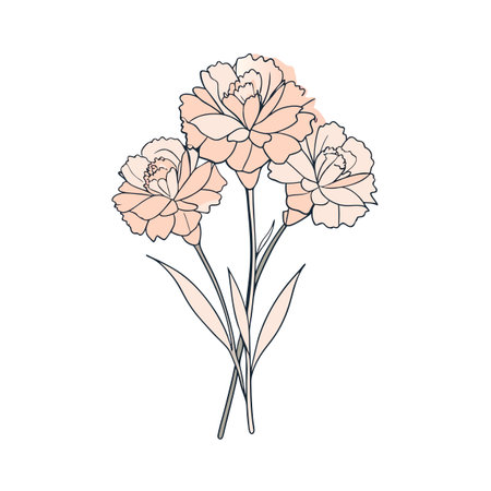 Elegant Carnation Flower Illustration with Delicate Peach Tones and Clean Line Artのイラスト素材