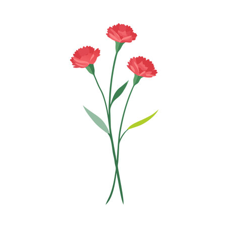 Three red carnation flowers bouquet with green stems and leaves on a white background.のイラスト素材