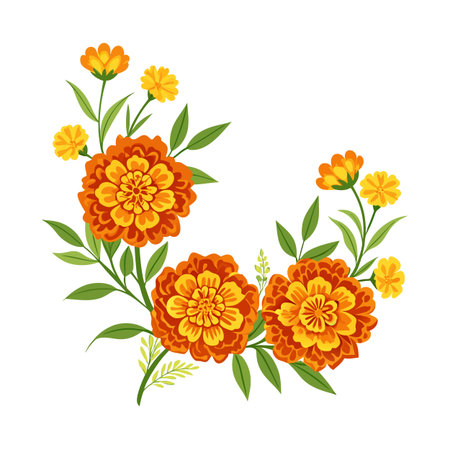 Stylized Illustration of Marigold Flowers and Foliage Isolated on White Backgroundのイラスト素材