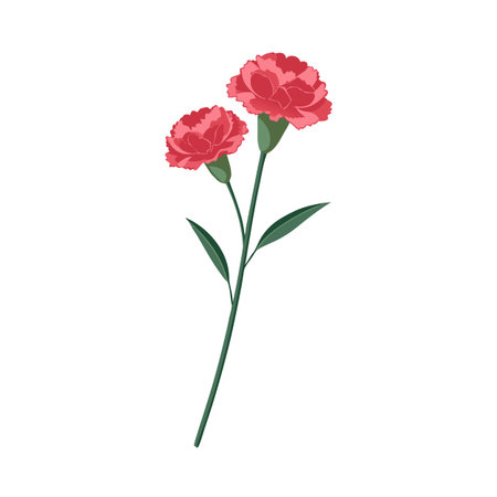 Vector illustration of a carnation stem with two red flowers on a white backgroundのイラスト素材