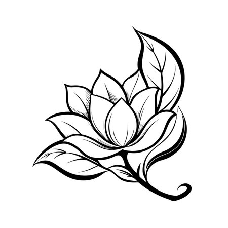 Elegant Flower and Leaf Illustration in Black and White Line Art Styleのイラスト素材