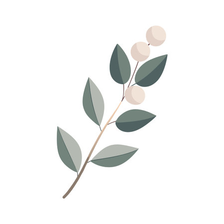 Elegant botanical illustration of a snowberry branch with leaves and pale berries on whiteのイラスト素材