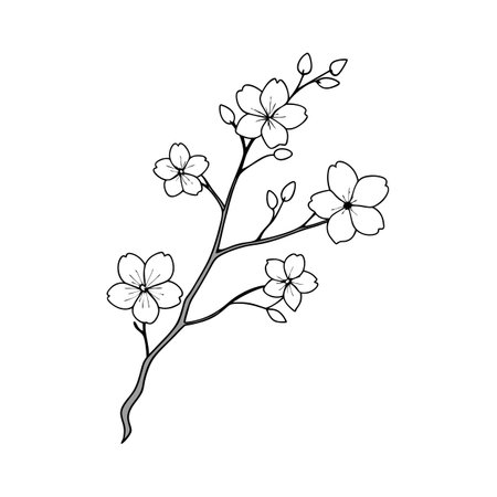 Hand drawn branch of cherry blossom with petals and buds on white backgroundのイラスト素材