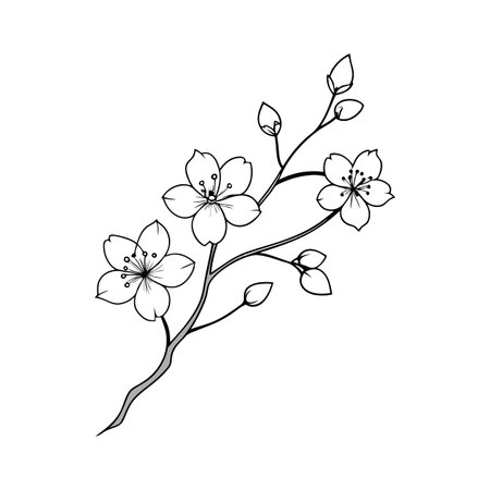 Elegant cherry blossom branch illustration on white background, ideal for spring-themed designsのイラスト素材
