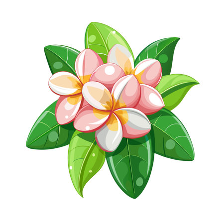 Illustration of Three Pink Frangipani Flowers with Green Leaves on a White Backgroundのイラスト素材