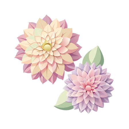 Elegant Floral Duo: Pastel Dahlias with Soft Light and Shadows on White Backgroundのイラスト素材