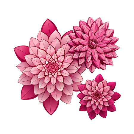 Three pink dahlia flowers in various sizes in a decorative arrangement on white backgroundのイラスト素材