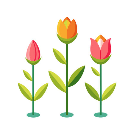 Three simple geometric flowers against white background, flat vector design for spring conceptsのイラスト素材