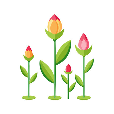 Simple flat illustration of stylized flower buds, isolated on white background, ideal for graphic designのイラスト素材
