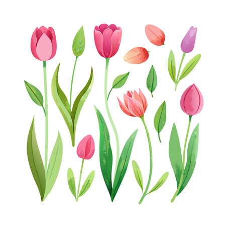 Watercolor Tulips Composition - Blooming Spring Flowers in Various Shades of Pink and Greenのイラスト素材