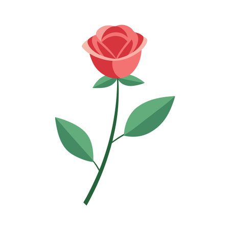 Graphic illustration of a rose with stem and leaves isolated on white backgroundのイラスト素材