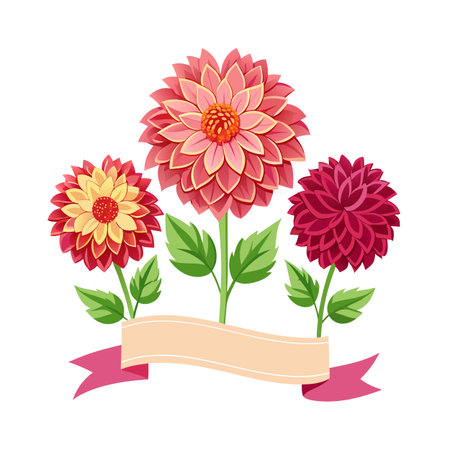 Vector illustration of three dahlias with a banner on white backgroundのイラスト素材