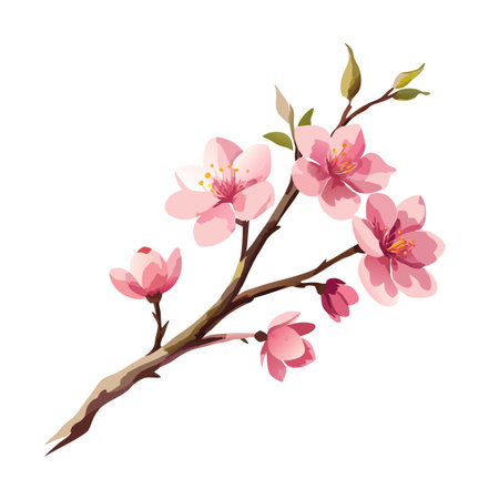 Watercolor-style illustration of a blooming cherry blossom branch with delicate pink petalsのイラスト素材