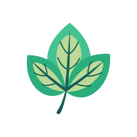 Leaf Icon Vector for User Interface Websites and Mobile Applications