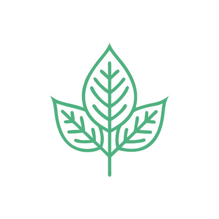 Leaf Icon Vector for User Interface Websites and Mobile Applications