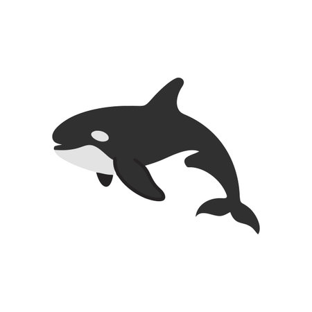 Simple Killer Whale Illustration on Black Background, Orca Graphic Designのイラスト素材