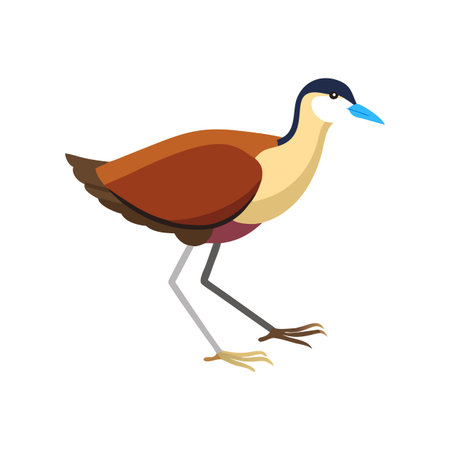 Cartoon Jacana Bird Illustration with Blue Beak and Black Background for Children's Art