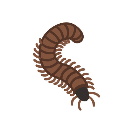 Cartoon centipede vector image crawling on black background, designed for use in educational...