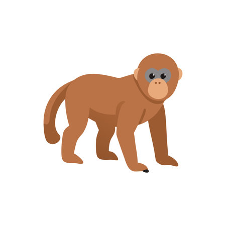 Flat illustration of a brown uakari monkey walking on a black background