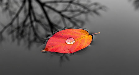 Meditation and Mindfulness Concept for Inner Peace, Relaxation and Mental Wellness