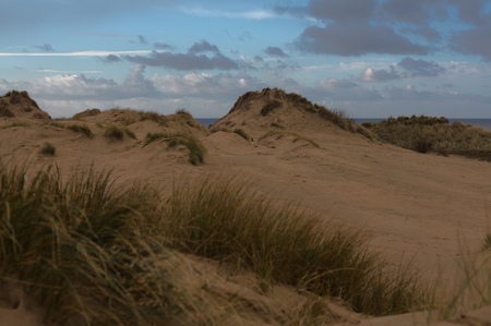 Sand dunesの写真素材