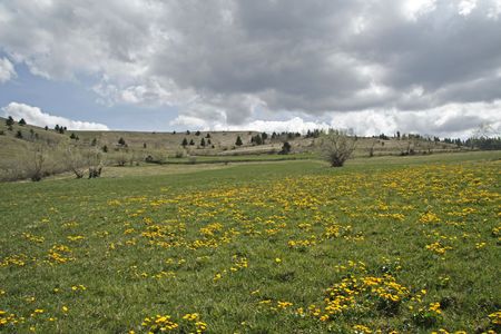 spring landscape # 1の写真素材