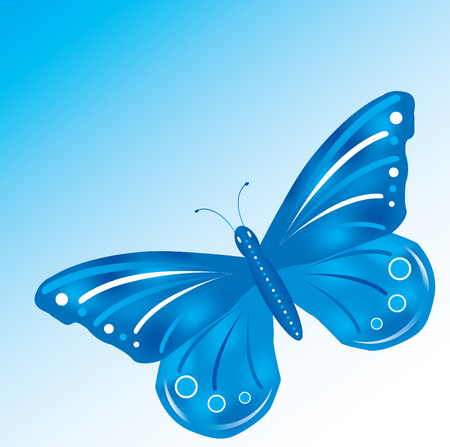 blue butterflyのイラスト素材