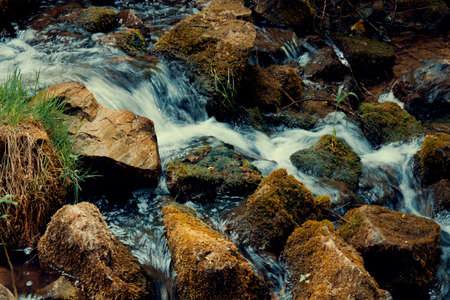 Trickle Stream