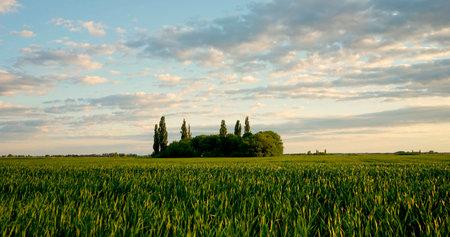 Meadow landscape in Hungaryの写真素材