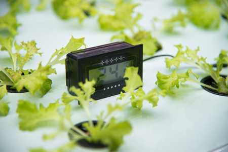 Modern agricultural plant factoryの写真素材