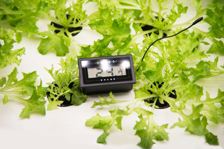 Modern agricultural plant factoryの写真素材