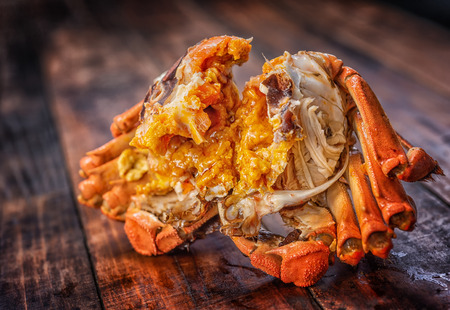 The hairy crab stripped its shell and poster its rich crab cream.の写真素材