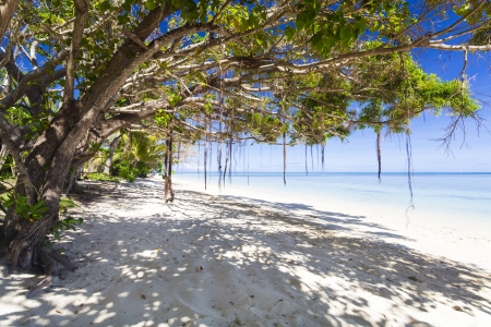Tropical beach with white sand on Fiji islandの写真素材
