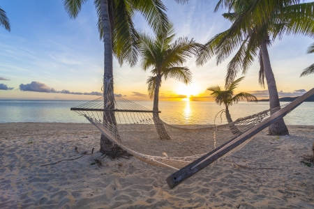 Tropical paradise beach at sunset with hammockの写真素材