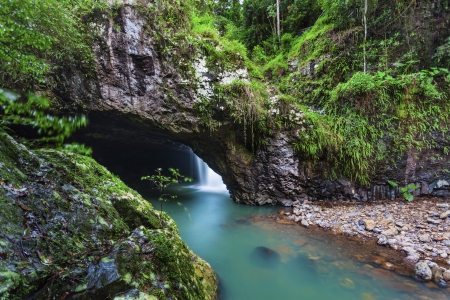 Natural Bridge waterfall in Queensland rain forestの写真素材