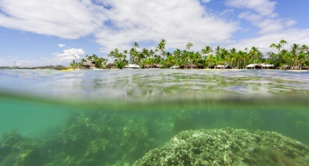 Tropical island view from underwaterの写真素材