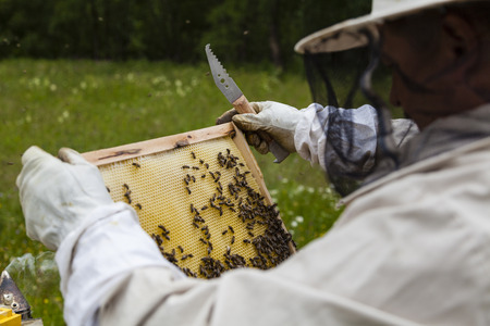 Beekeeper working with beehives in Alpine meadow.
