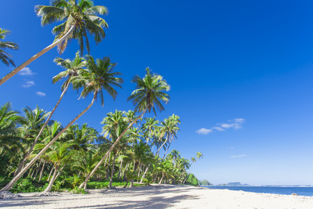 Tropical Samoa with white sandy beaches and coconut palms