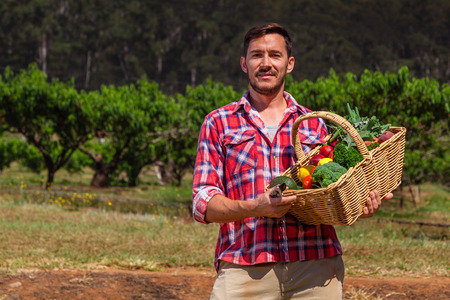 Organic farmer with fresh fruit and vegetables in garden
