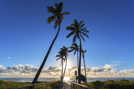 Path leading to Gold Coast beach, Queensland, Australiaの写真素材