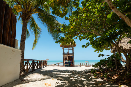 Tropical beach setting on Isla Holbox, Quintana Roo, Mexico Mexicoの写真素材
