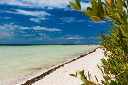 Sunny view of Punta Cocos on the island of Isla Holbox, Mexicoの写真素材