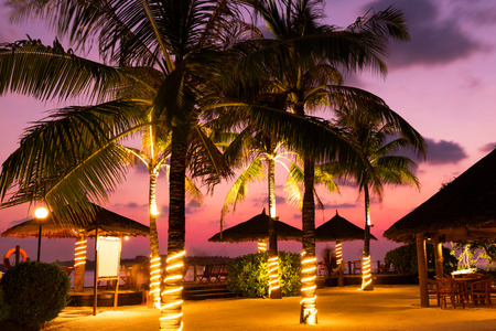 Palm trees and tables in the sunset in the Maldivesの写真素材