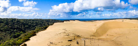 Dead trees on sandblows or sand dunes on Fraser Island, Queensland, Australiaの写真素材