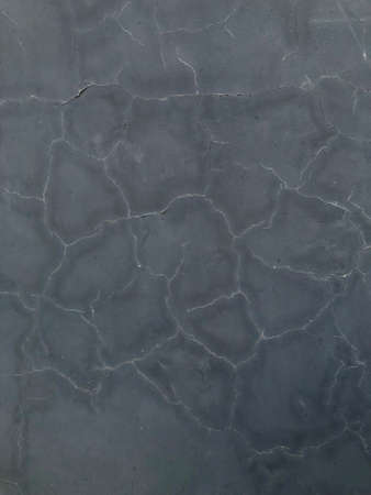 the background is gray plaster with white cracks