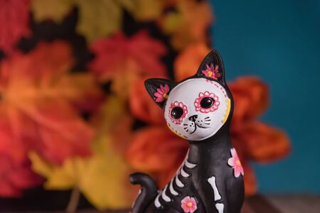 Little cat Catrina skull - Day of the dead celebrationの写真素材