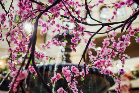 Artificial pink cherry flowers blooming indoor. Fountain in bokeh.