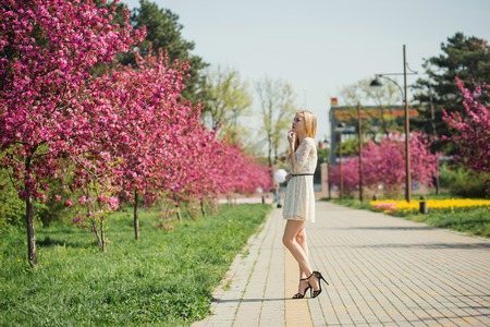 Beautiful young blonde woman in white dress walking at spring park with pink cherry trees.の写真素材