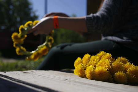 the girl spins a wreath from dandelions.の写真素材